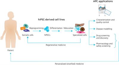 Adventures and Advances in Time Travel With Induced Pluripotent Stem Cells and Automated Patch Clamp